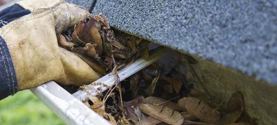 gutter cleaning service