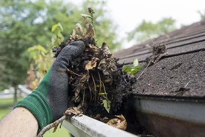 gutter cleaning