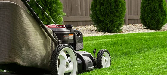 lawn mowing catch