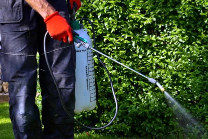 weed control
