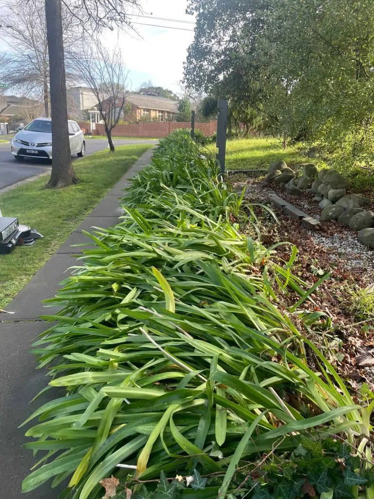 Lawn Mowing Blackburn