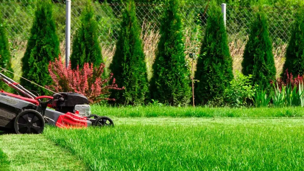Lawn Mowing Springfield