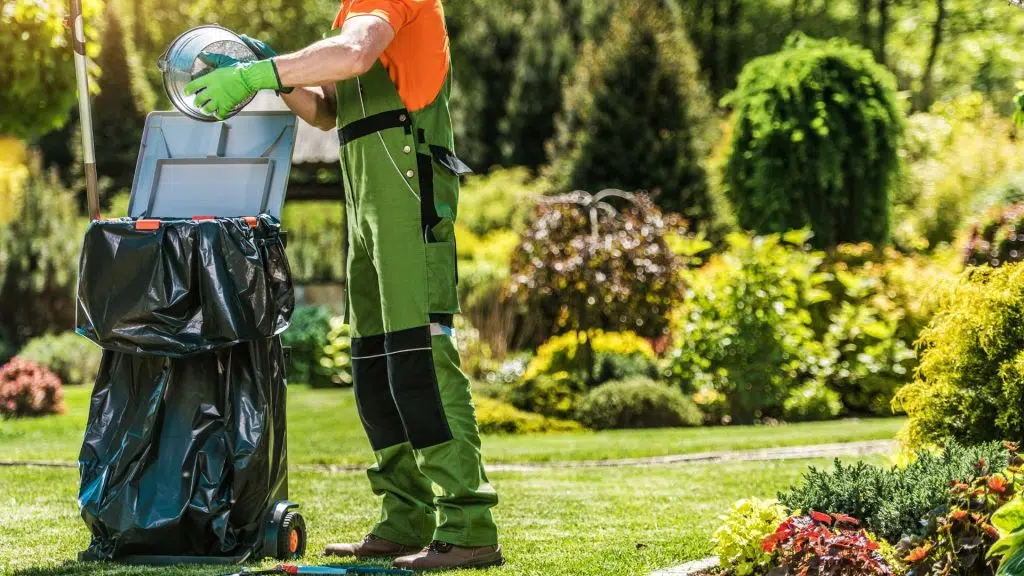 Spring gardening cleaning