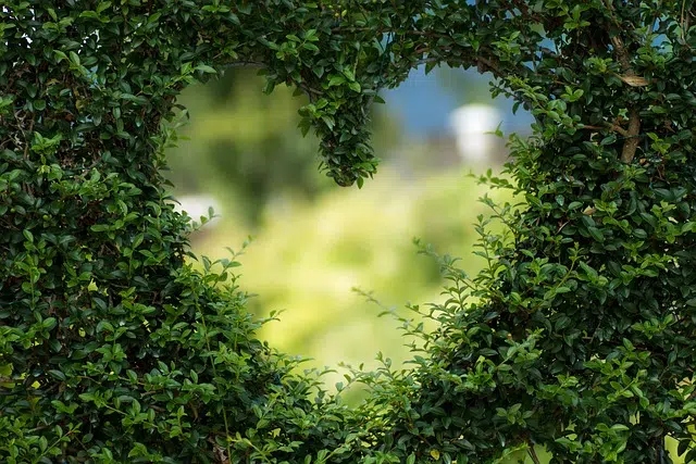 Pulse Lawn Mowing & Gardening Murrumba Downs