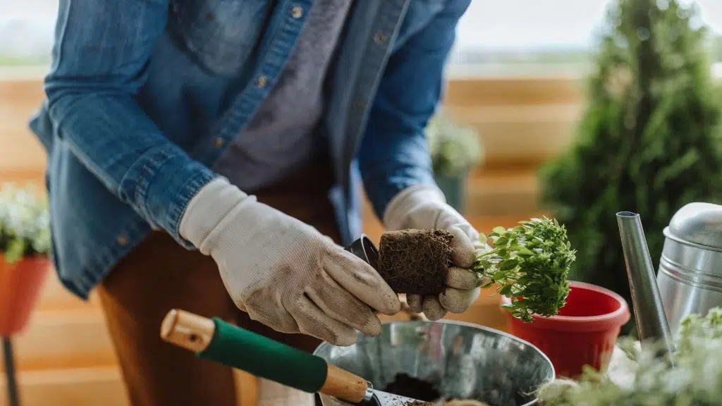 re-potting